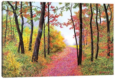 Autumn's Poetry Canvas Art Print - James Redding