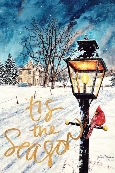 Tis the Season by James Redding canvas print