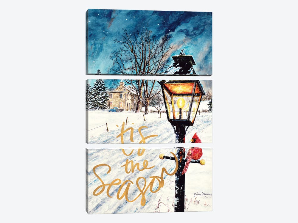 Tis the Season by James Redding 3-piece Canvas Print