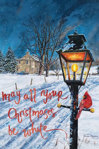 White Christmas by James Redding canvas print