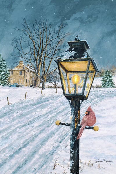 Winter Bird by James Redding canvas print