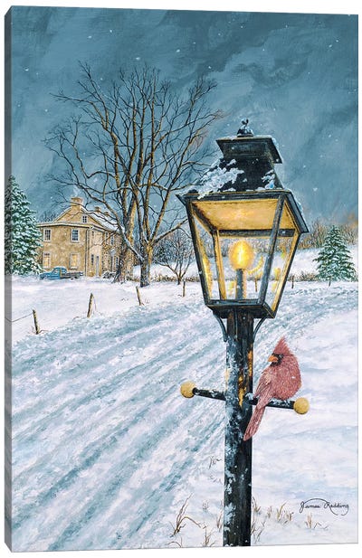Winter Bird Canvas Art Print - James Redding