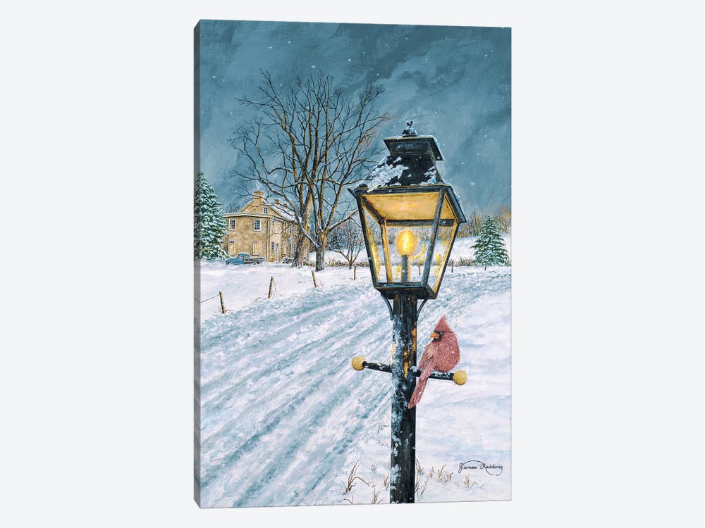 Winter Bird by James Redding 1-piece Canvas Print