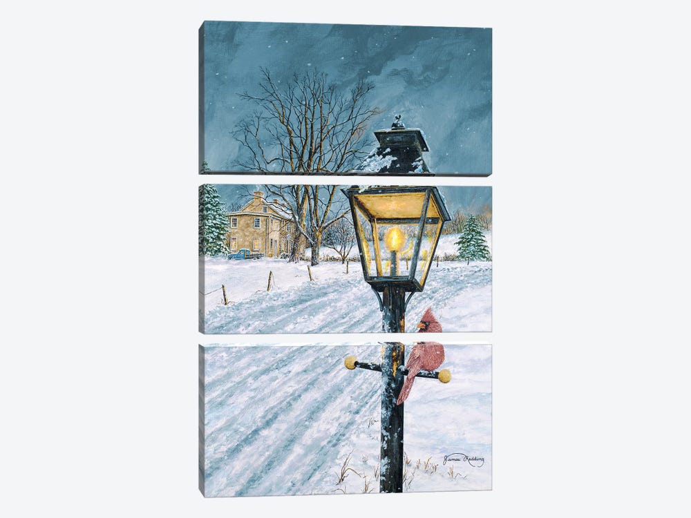 Winter Bird by James Redding 3-piece Canvas Art Print