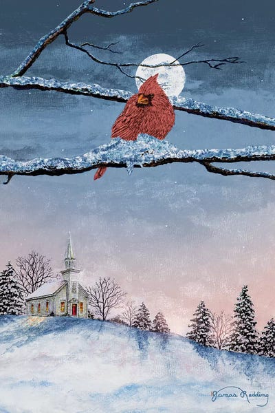 Cardinals: Winter Church Nights by James Redding