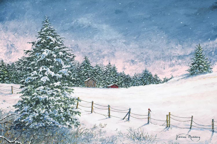 Winter Mornings