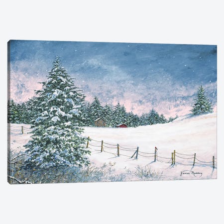 Winter Mornings Canvas Print #RDD47} by James Redding Canvas Print