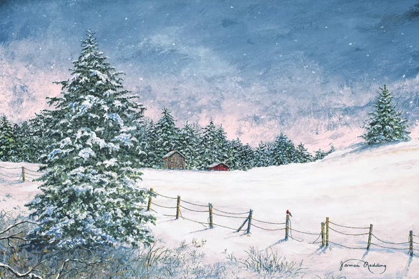 Winter: Winter Mornings by James Redding