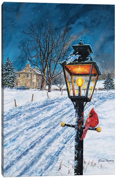 Winterberry Lamppost Canvas Art Print - James Redding