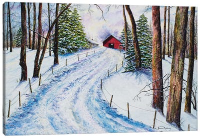 Winter's Glow Canvas Art Print - James Redding