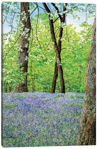 Blue Bells Canvas Art Print - James Redding