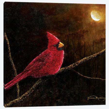 Cardinal In The Moonlight Canvas Print #RDD5} by James Redding Canvas Art