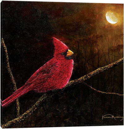 Cardinal In The Moonlight Canvas Art Print - James Redding