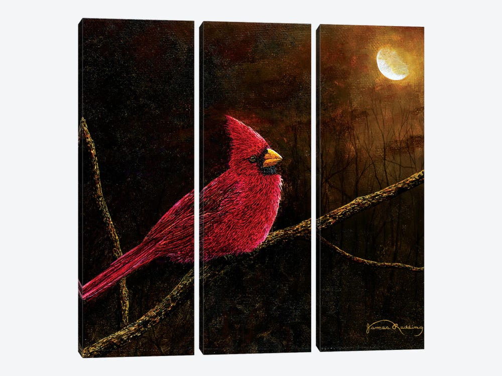 Cardinal In The Moonlight by James Redding 3-piece Art Print