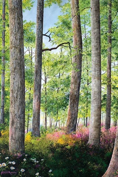 Enchanted Forest by James Redding canvas print