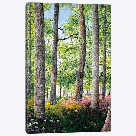Enchanted Forest Canvas Print #RDD7} by James Redding Canvas Wall Art