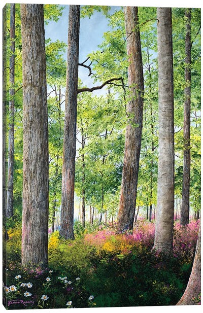 Enchanted Forest Canvas Art Print - James Redding