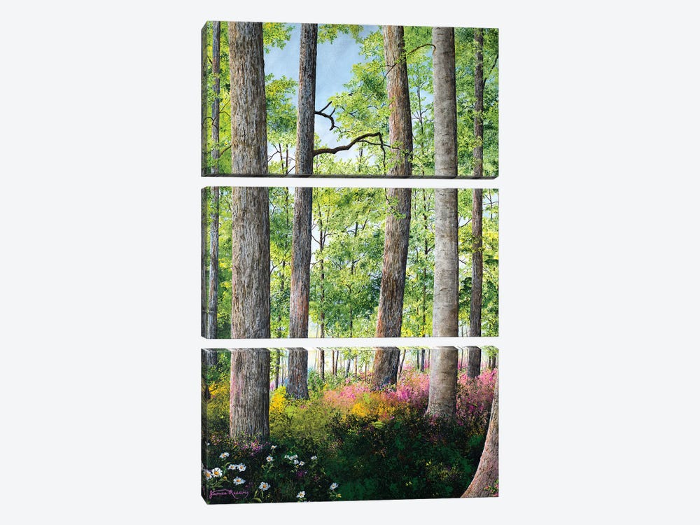 Enchanted Forest by James Redding 3-piece Art Print