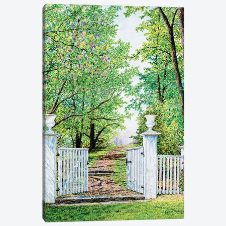 Narrow Is The Path Canvas Print #RDD9} by James Redding Canvas Art Print