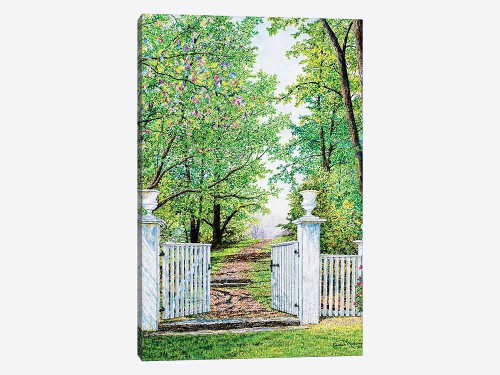 Narrow Is The Path by James Redding 1-piece Canvas Art Print