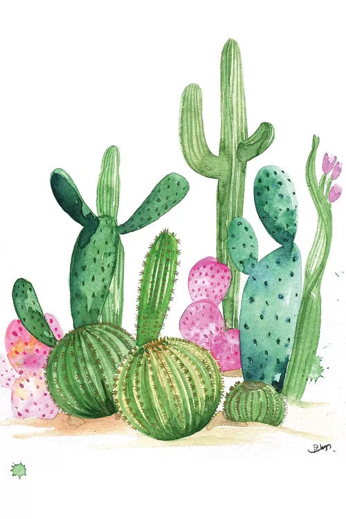 Cactus