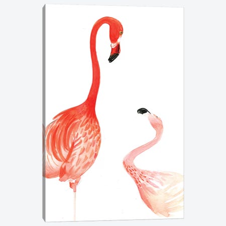 Flamingo Canvas Print #RDE63} by Rongrong DeVoe Art Print