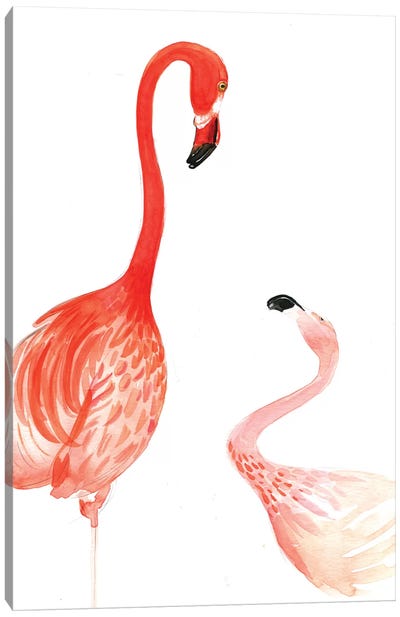 Flamingo Canvas Art Print - Rongrong DeVoe