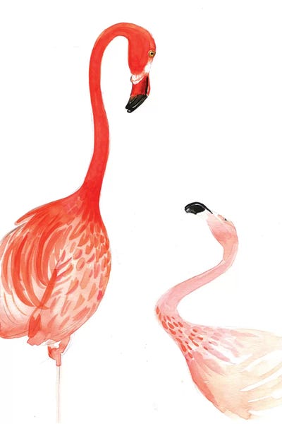 Rongrong DeVoe: Flamingo by Rongrong DeVoe
