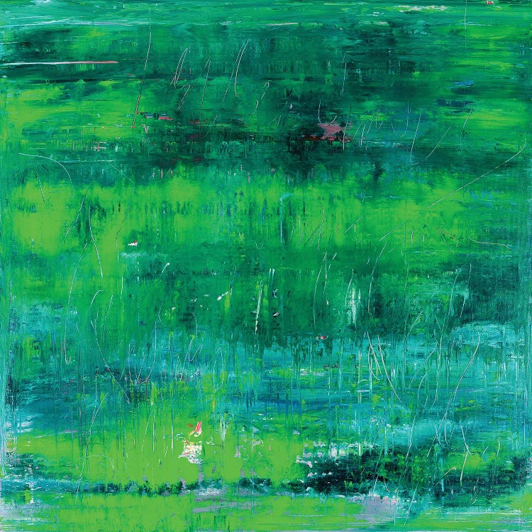 Green Tree Reflections by Radek Smach wall art