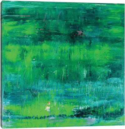 Green Tree Reflections Canvas Art Print - Radek Smach