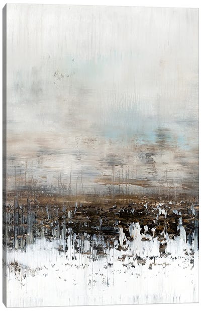 White Dusted Fields Canvas Art Print - Radek Smach