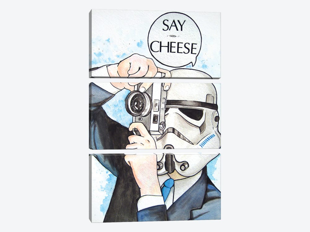Say Cheese by Random Hills 3-piece Canvas Art Print