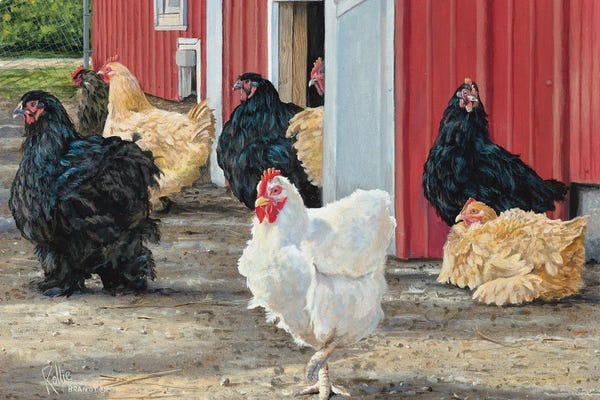 Chicken Dance