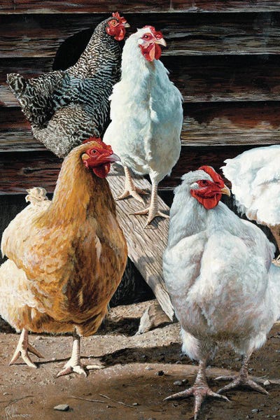 Sycamore - Canvas Prints: Fowl Mood by Rollie Brandt