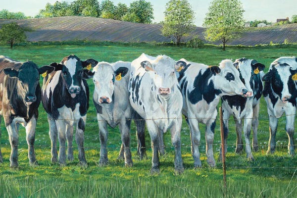 The Evening Moos