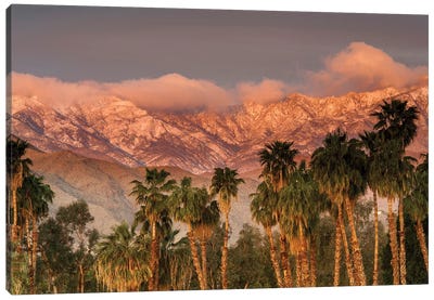 USA, California, Palm Springs. the San Jacinto and Santa Rosa mountain ranges frame the Desert Island Golf and Country Club. Canvas Art Print - Palm Springs Art