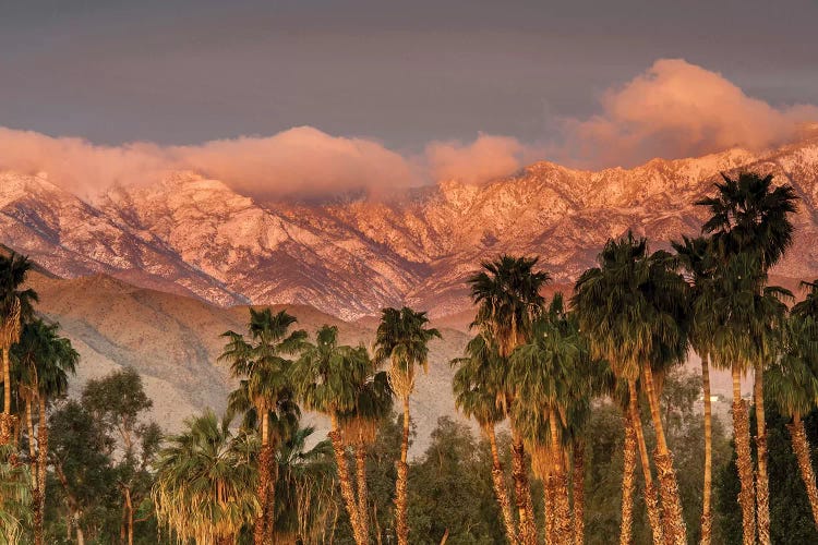 USA, California, Palm Springs. the San Jacinto and Santa Rosa mountain ranges frame the Desert Island Golf and Country Club. by Richard Duval wall art