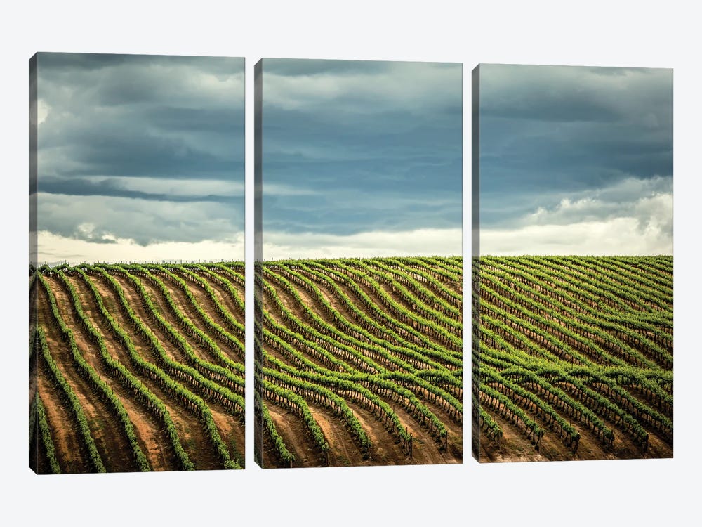 USA, Washington State, Yakima Valley. Rows In A Washington Vineyard At Spring II by Richard Duval 3-piece Canvas Print
