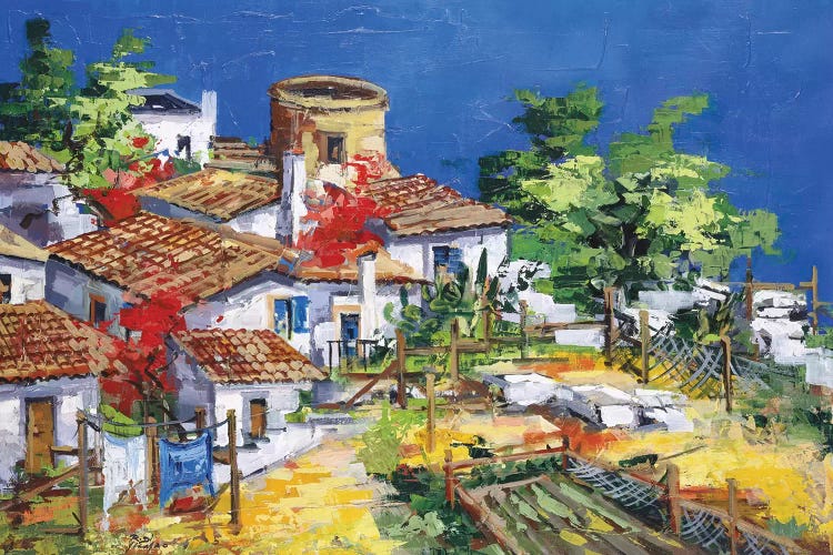 Colori dell' Isola by Roberto di Viccaro wall art
