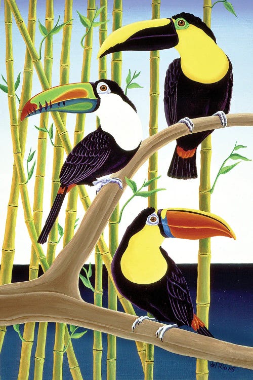 Toucans by Raul Del Rio wall art