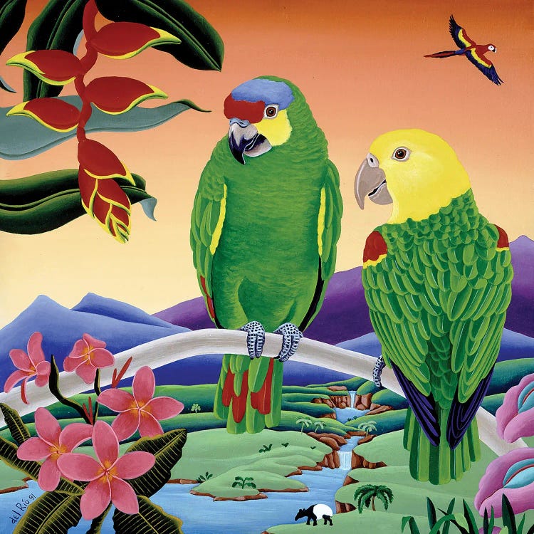 Amazon Parrots by Raul Del Rio wall art