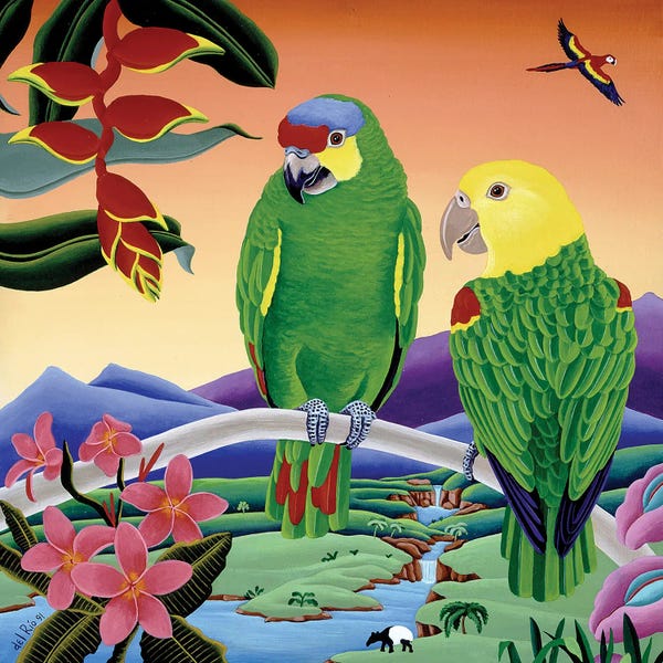 Fine Art Print: Amazon Parrots by Raul Del Rio