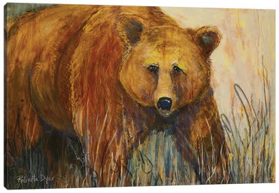 Majestic Canvas Art Print - Brown Bear Art