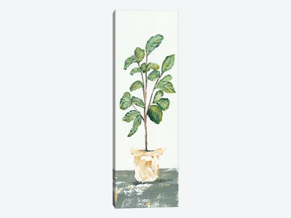 Fig Tree by Roey Ebert 1-piece Canvas Artwork