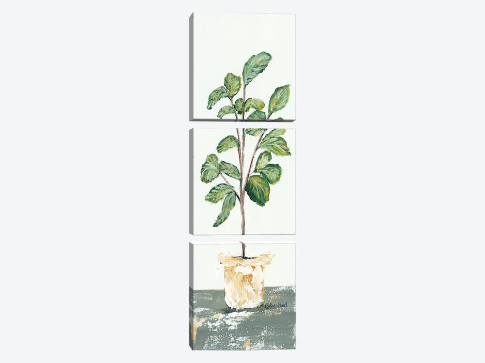 Fig Tree by Roey Ebert 3-piece Canvas Art