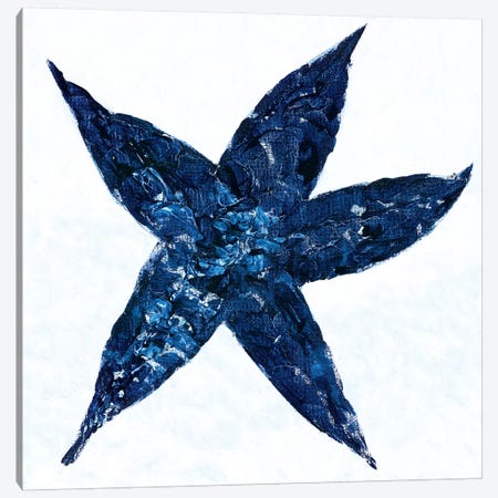 Midnight Starfish Canvas Print #REB4} by Roey Ebert Canvas Print