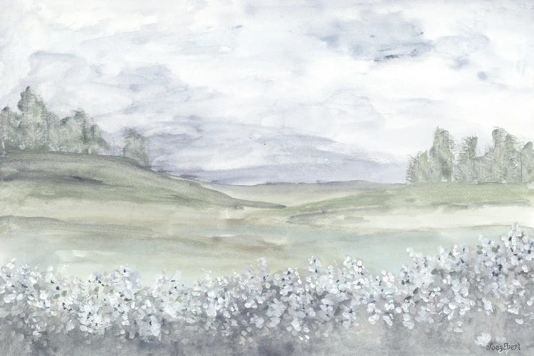 Meadow