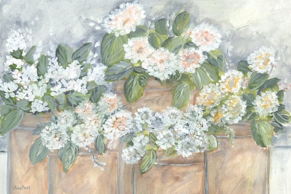 Roey Ebert: Windowsill Blooms by Roey Ebert
