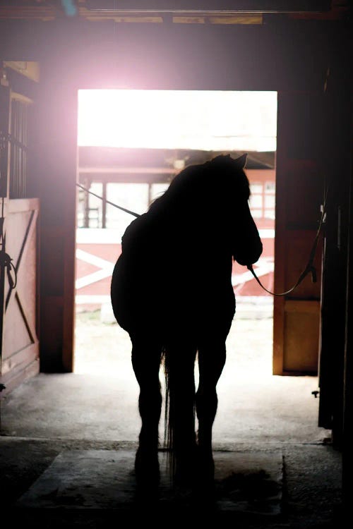 Horse Silhouette