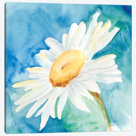 Daisy Sunshine I Canvas Print #REG16} by Regina Moore Canvas Wall Art